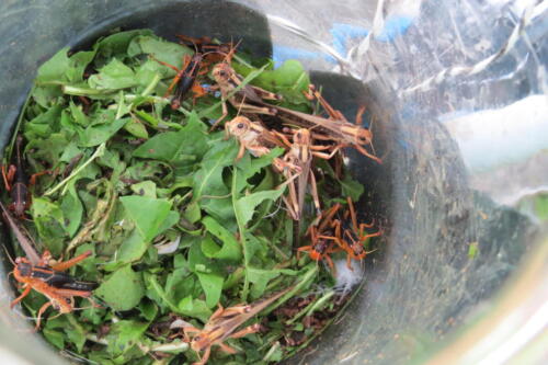IMG 9999040